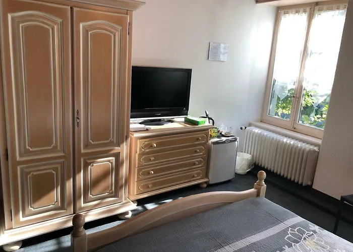 Hotel- Restaurant Le Bras D'or